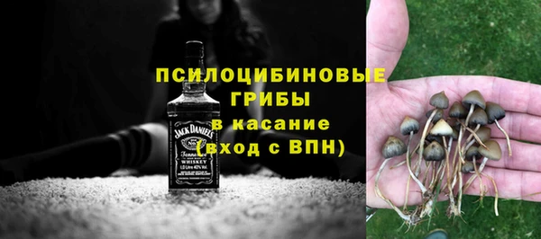 соль ск Алзамай