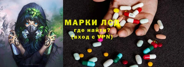прущие крисы Арсеньев