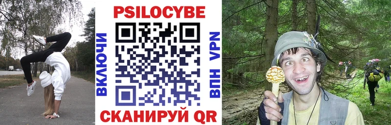 Псилоцибиновые грибы Psilocybine cubensis  Краснослободск 